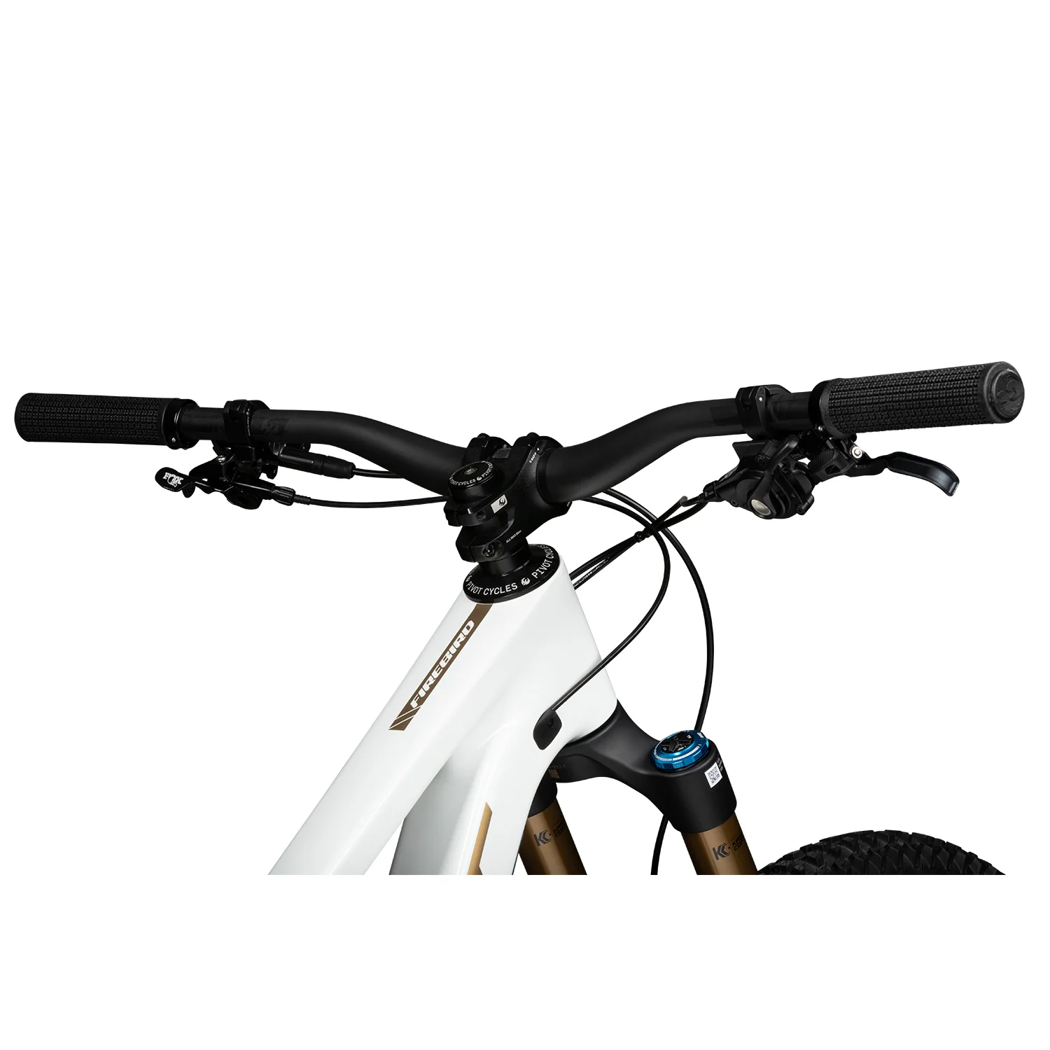 Pivot Cycles Firebird 2025 - Image 5